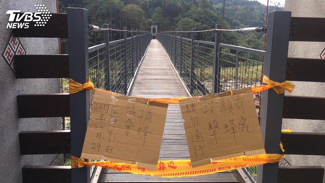 摘除蜂窩致虎頭蜂無巢可歸 亂竄螫傷4遊客