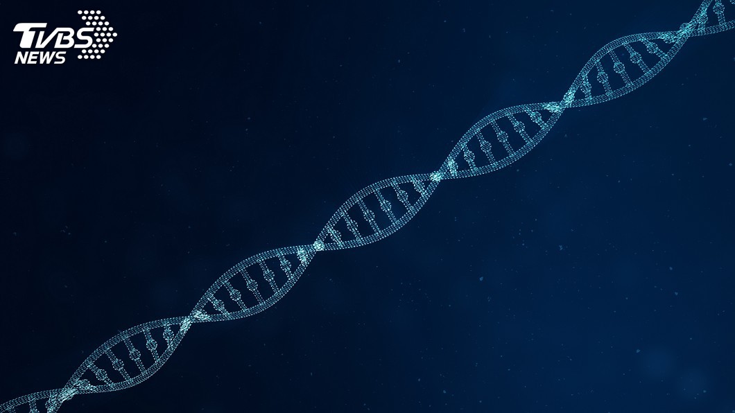 對的人聞起來香香的? 日本瘋DNA相親找真愛