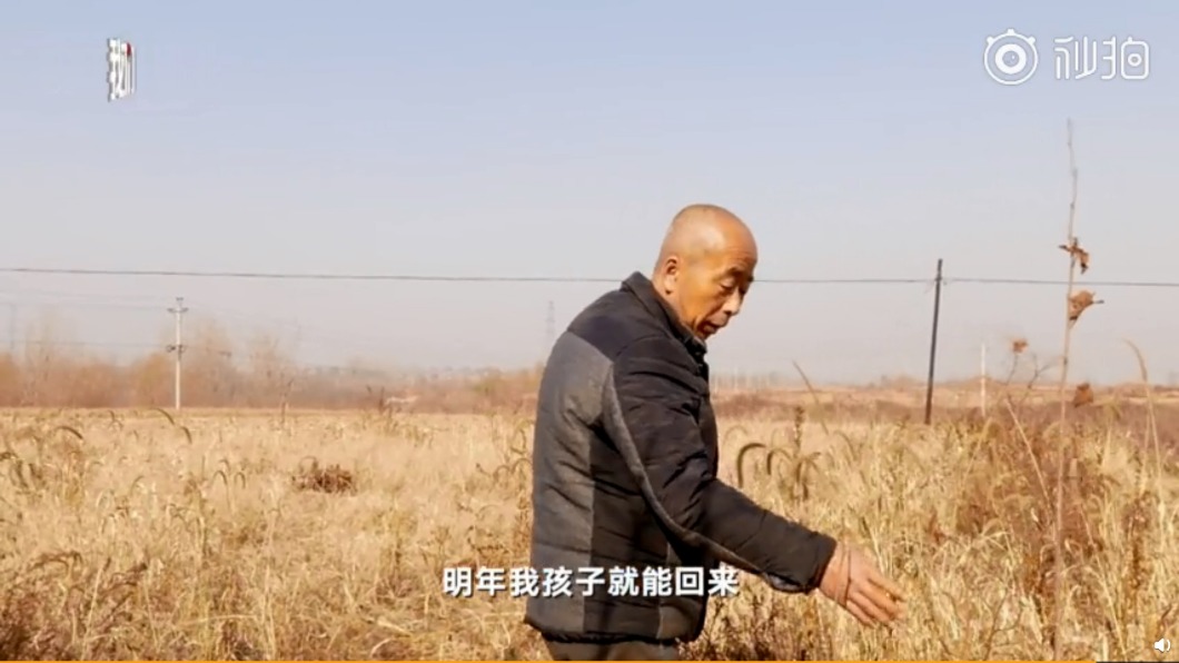 圖／翻攝自秒拍