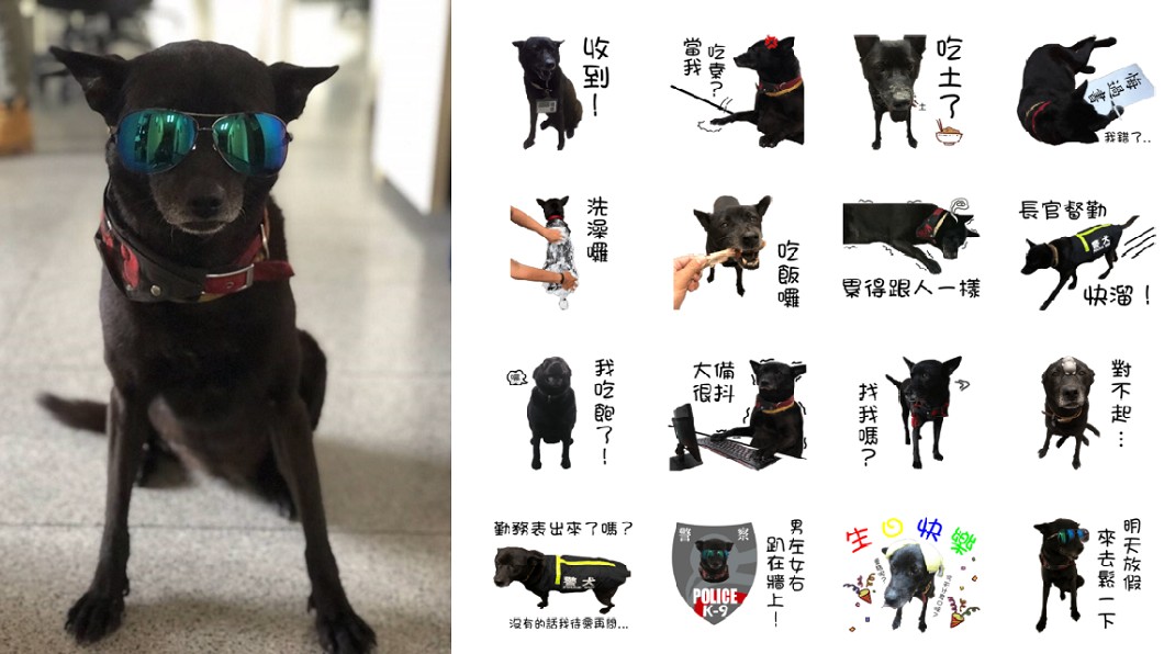 自己的罐罐自己賺 明星警犬小黑出貼圖賣萌