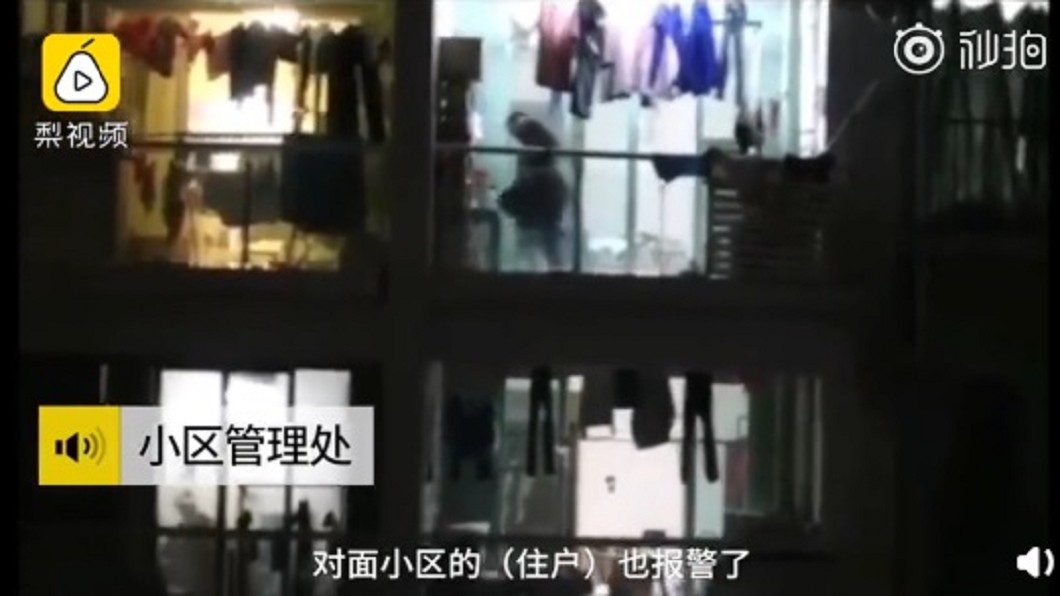 「爸爸別打了」男子酒醉虐狗 悽慘叫聲讓兒哭求
