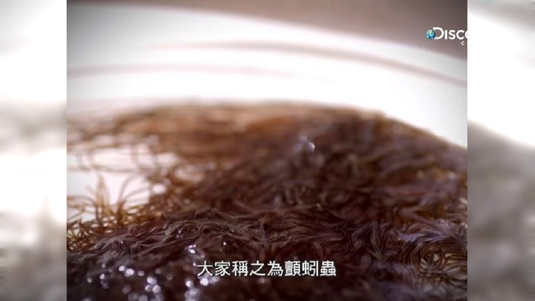 生物專家推測異形是由「顫蚓蟲」組成。圖/翻攝自YouTube「 Discovery Channel Taiwan」
