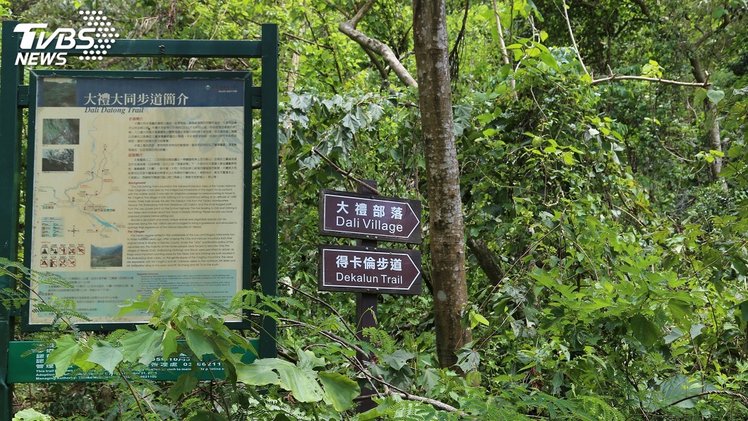 太魯閣秋冬山林之美 台地步道領略自然