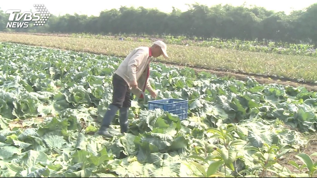 陳吉仲:6月提案修職災保險 讓退休退伍務農可保