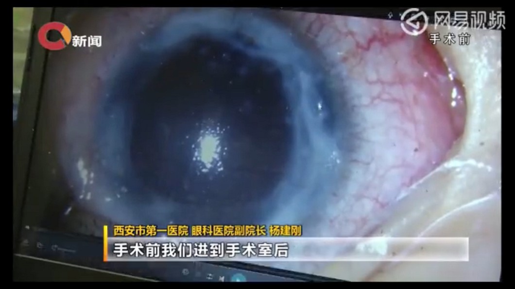 圖/翻攝網易視頻
