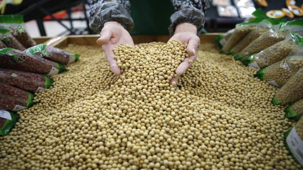 美大豆重獲中國5億訂單 加拿大又一人遭扣押