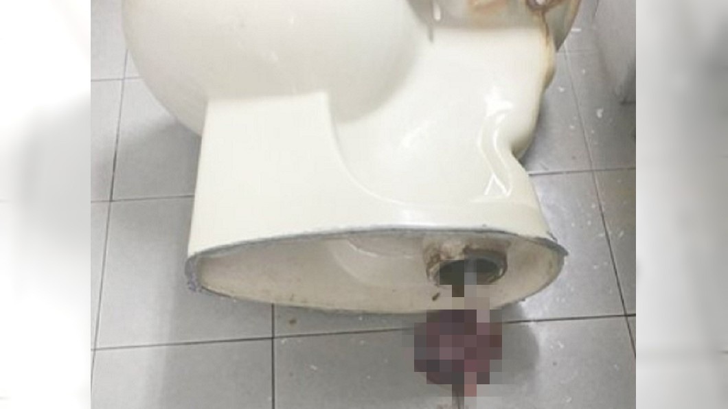 悚!女廁堵塞請水電工 馬桶一拆驚見「帶血胚胎」