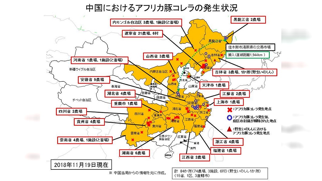 台灣沒在內!日政府公布「中國豬瘟地圖」一次看懂