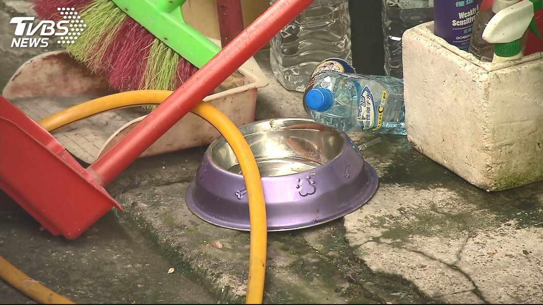 太吵了！持棍棒打狗　反遭主人回擊毆傷