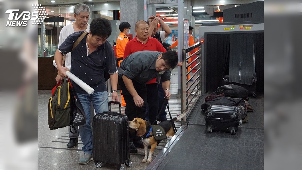 全力防範非洲豬瘟! 交通部:海陸空加強管理