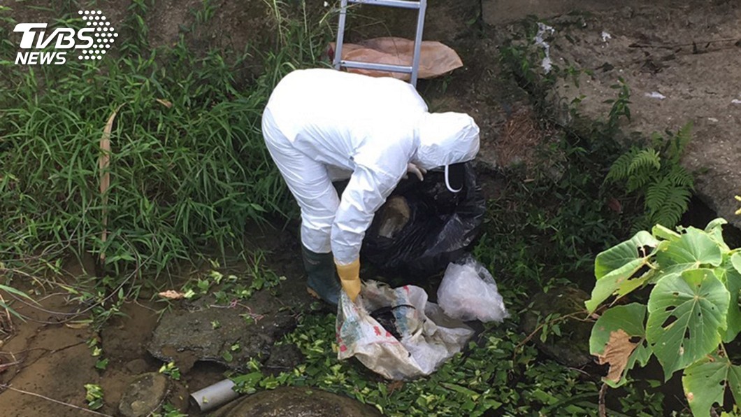 防堵禽流感疫情 追查嘉義野溪遭棄雞屍來源