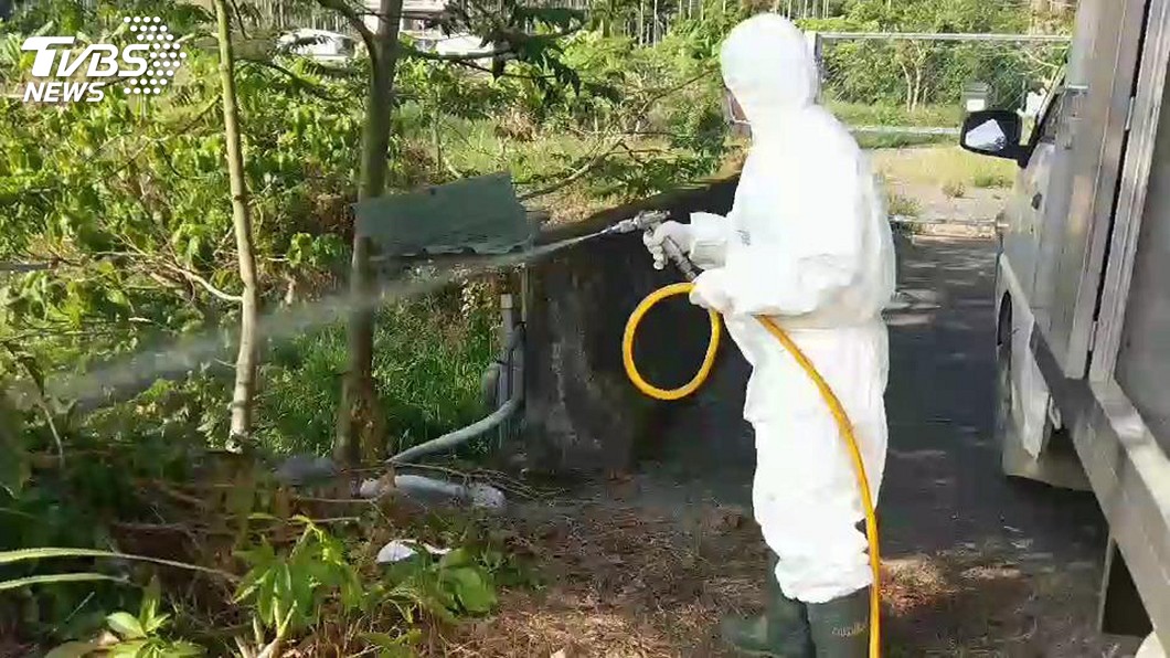 批發市場44隻土雞疑患禽流感 北市:已處置