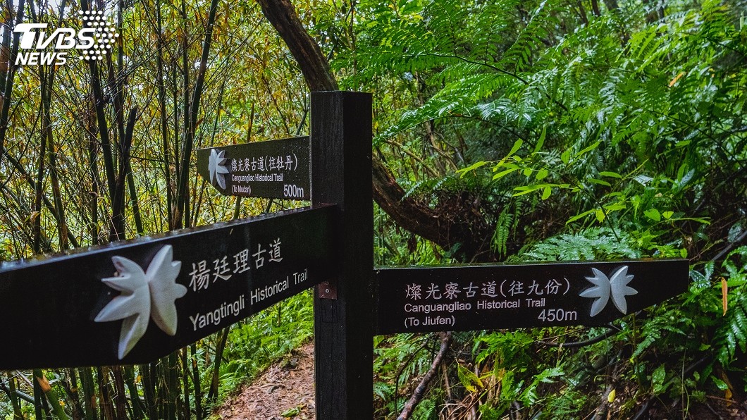 淡蘭古道北路：楊廷理古道。圖／TVBS
