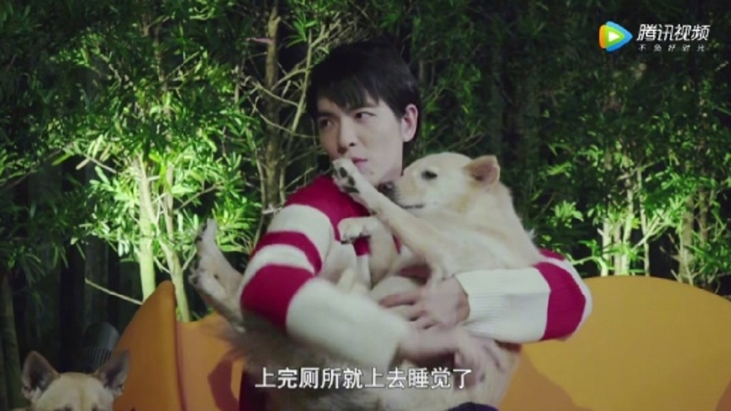 圖／翻攝自《微博》