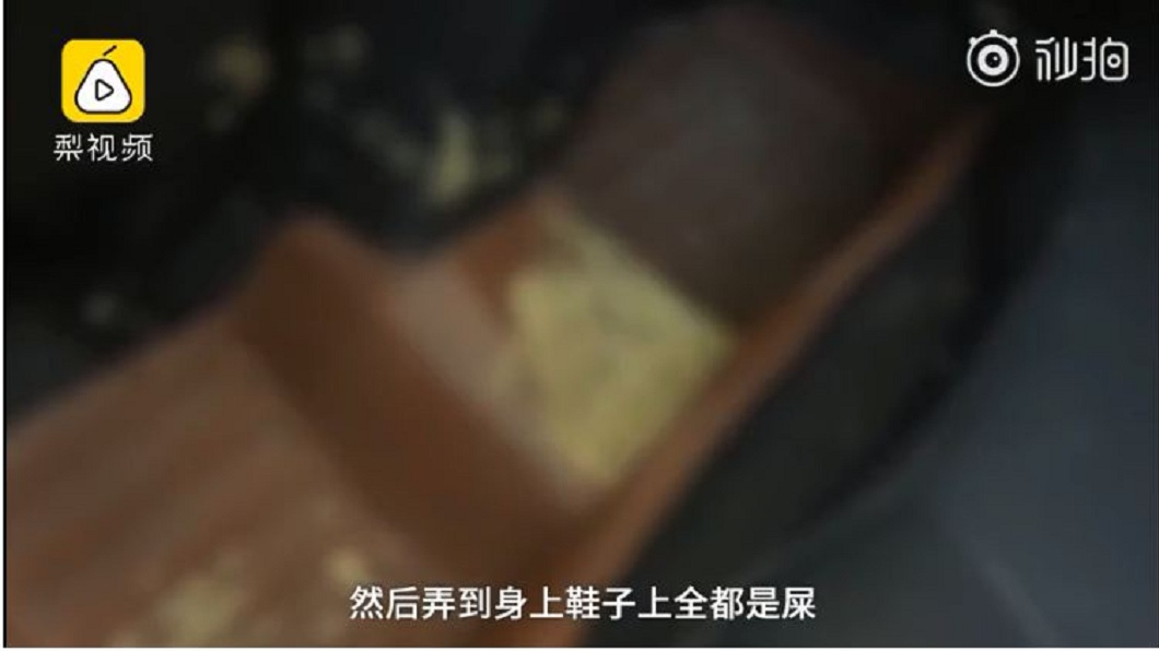 該名女子直接在車內拉屎拉尿。(圖／翻攝自梨視頻)