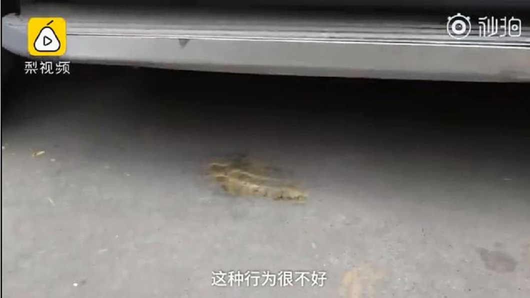 車主的妻兒隔天上車時，不慎摔沾這些屎。(圖／翻攝自梨視頻)