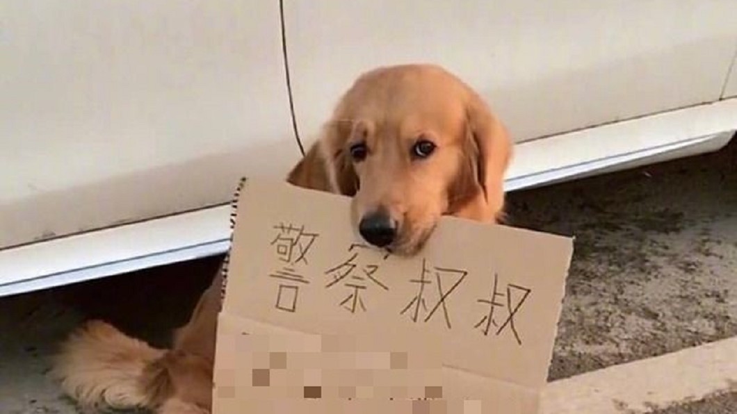 「警察叔叔別開單」最萌求情 網友大讚:高招