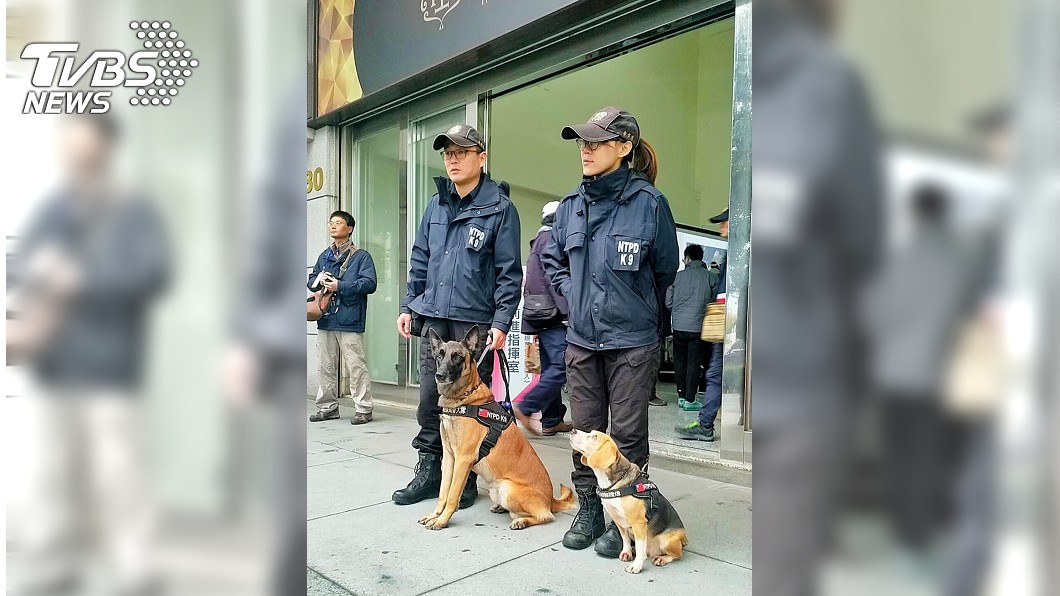 桃園跨年晚會警犬出任務 汪星人成焦點
