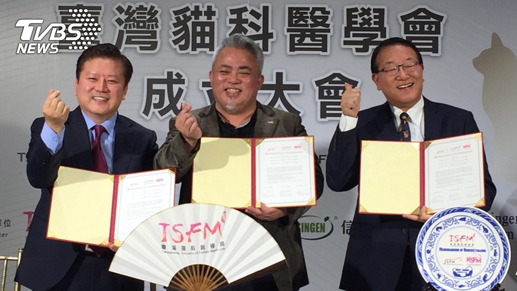 喵星人愈來愈多　台灣貓科醫學會成立