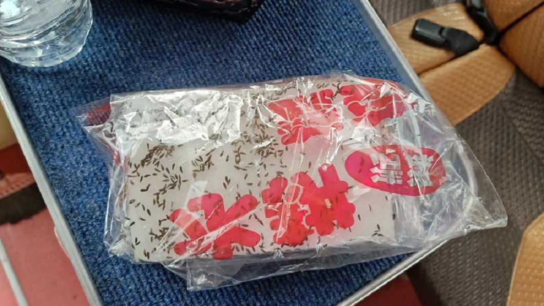 超沒水準！乘客把垃圾塞座椅下　司機清出整車蟑螂殺不完