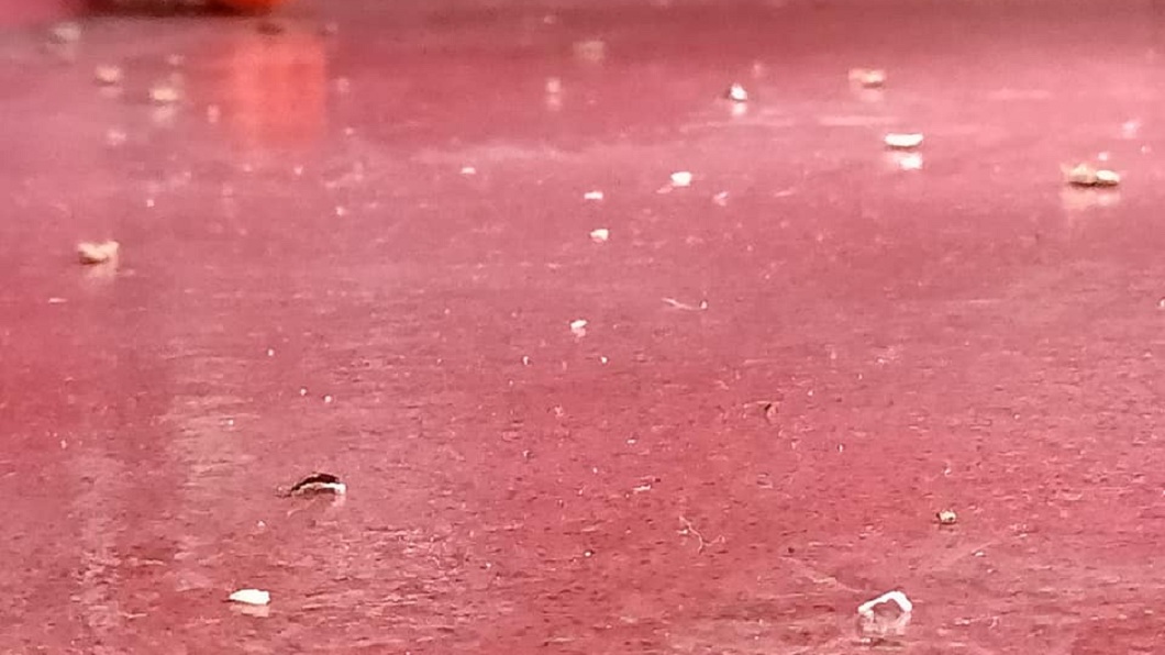 司機無奈只好用水煙殺蟲。(圖/翻攝自爆料公社)