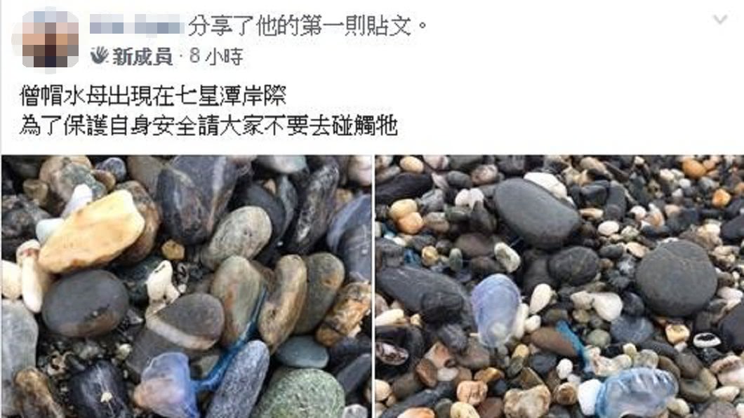 圖/翻攝花蓮人臉書
