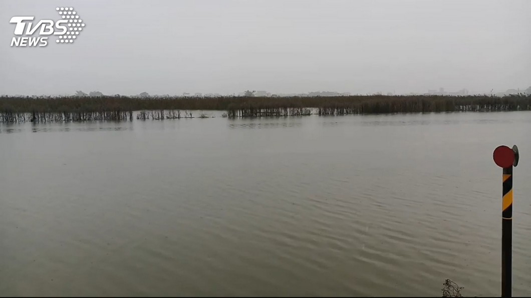 宜蘭雨災養殖場鱸魚大量死亡 縣府籲速核定救助