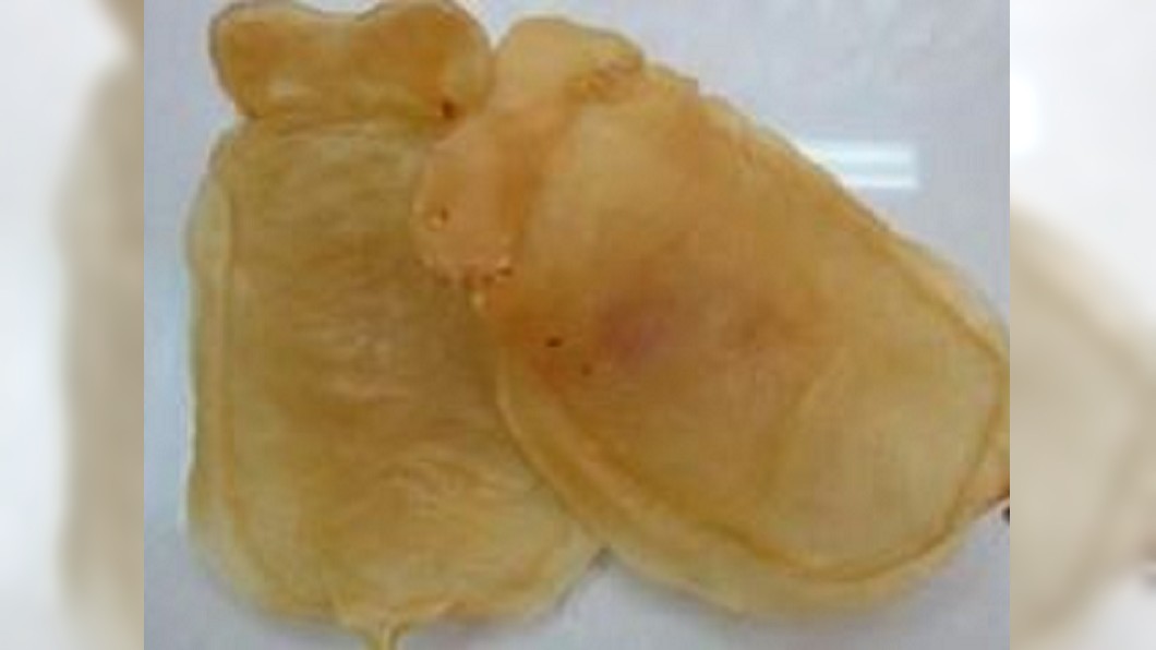 魚鰾膠黏著力超強 古代名貴家具專用品