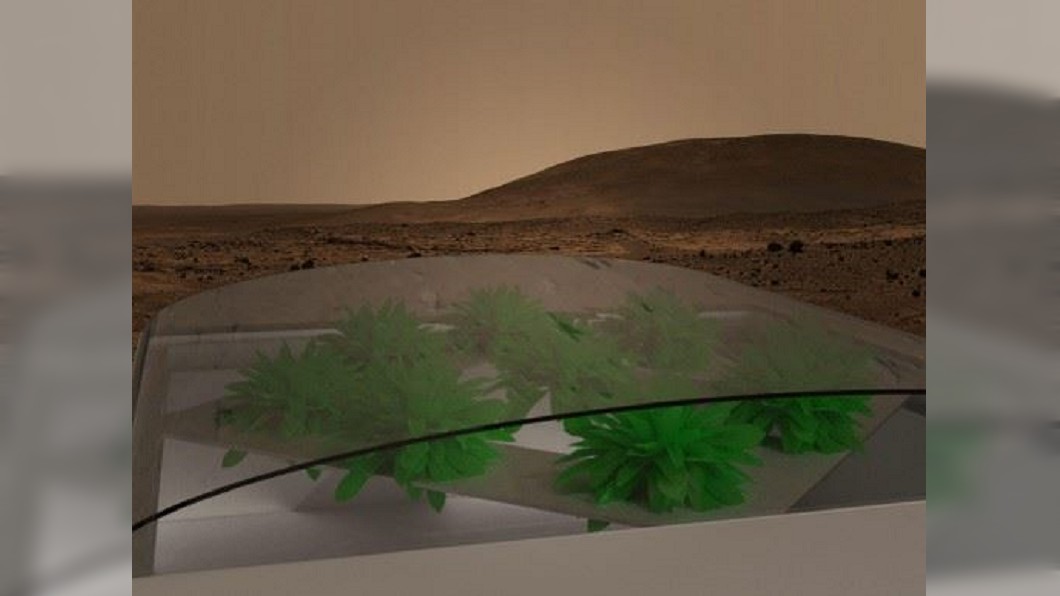 探索火星生命奧秘　合成土壤種菜生長