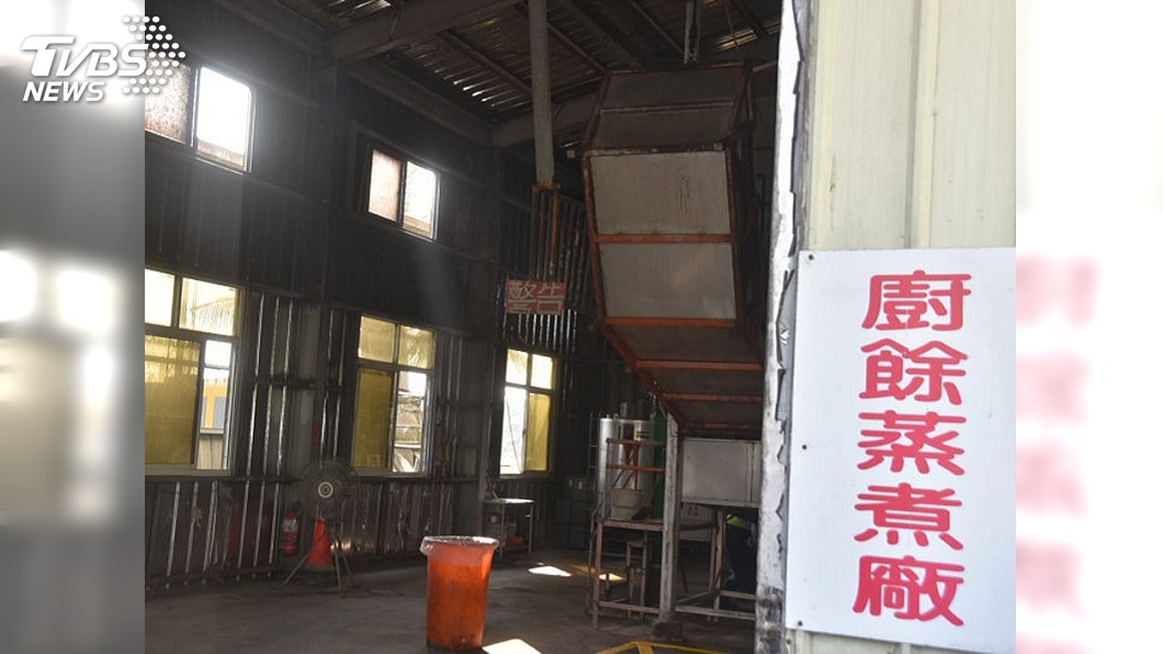 3養豬戶堅持用廚餘 嘉義縣嚴查蒸煮規範