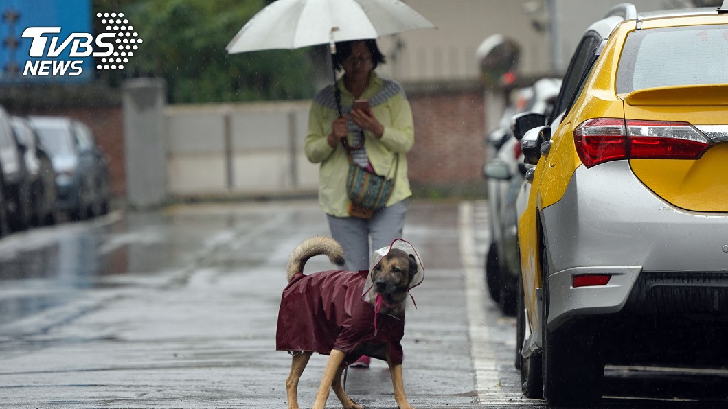 好天氣掰!雨具再拿出來 東北風增強「濕冷到週二」