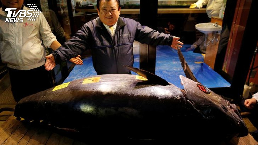 東京豐洲市場黑鮪魚競標 3.3億日圓寫史上最高
