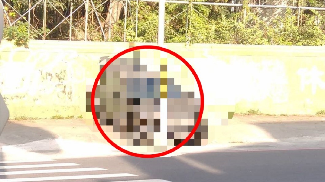 車禍方式太離奇 網笑:可能電線桿撞它的
