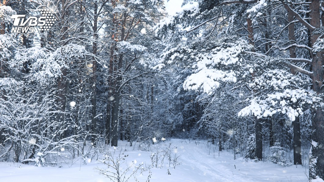 日本北海道週末大雪 逾2千人困新千歲機場