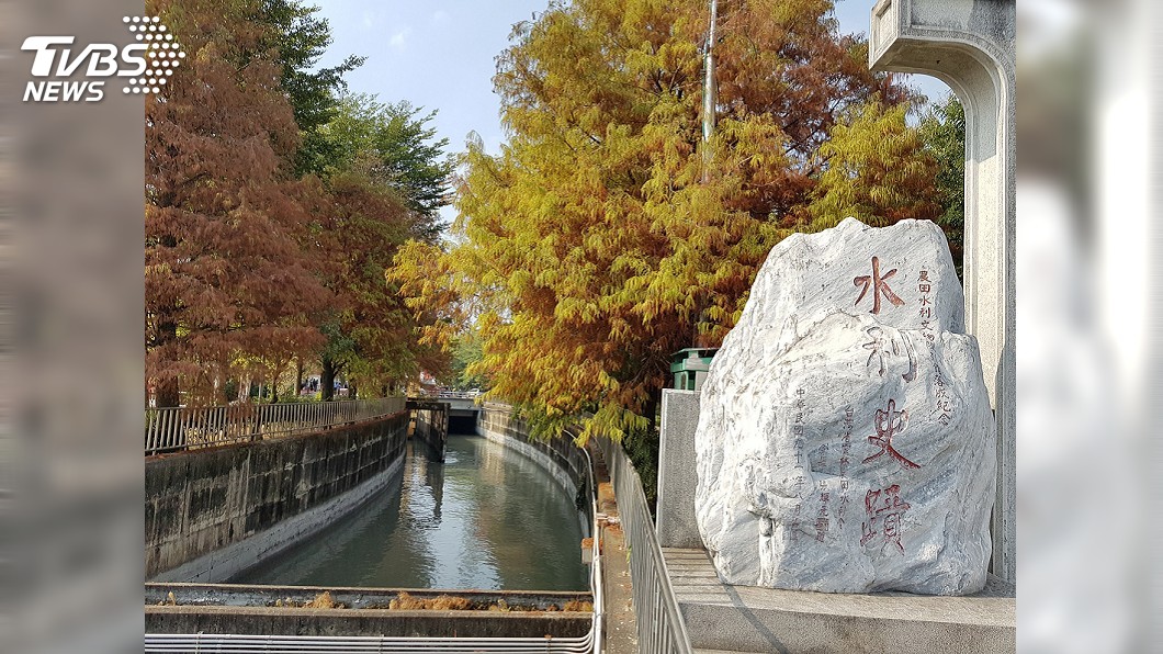 漫步松林秘境　林內邀訪花漾輕鬆行