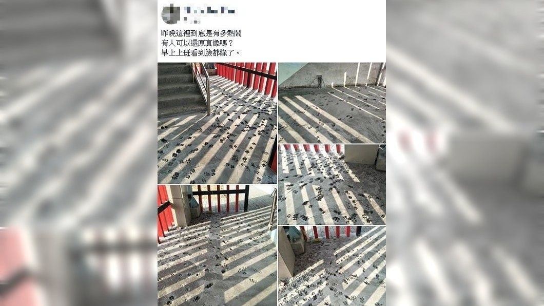 不少網友建議可以保留樣貌。(圖／翻攝自爆廢公社)
