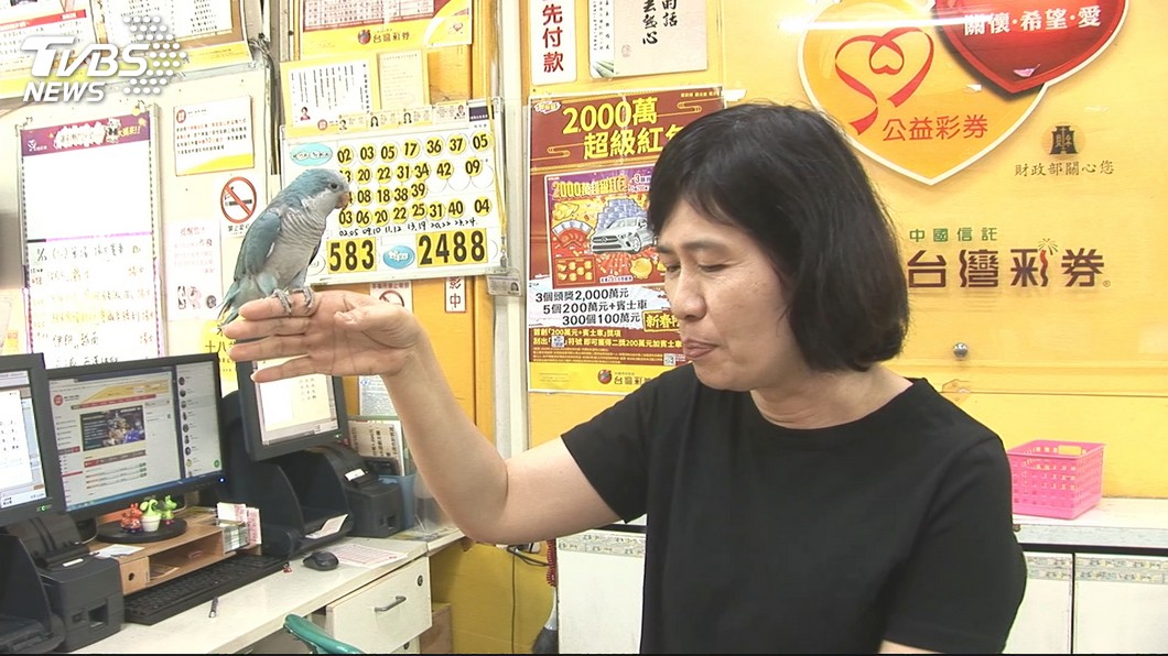 圖／TVBS