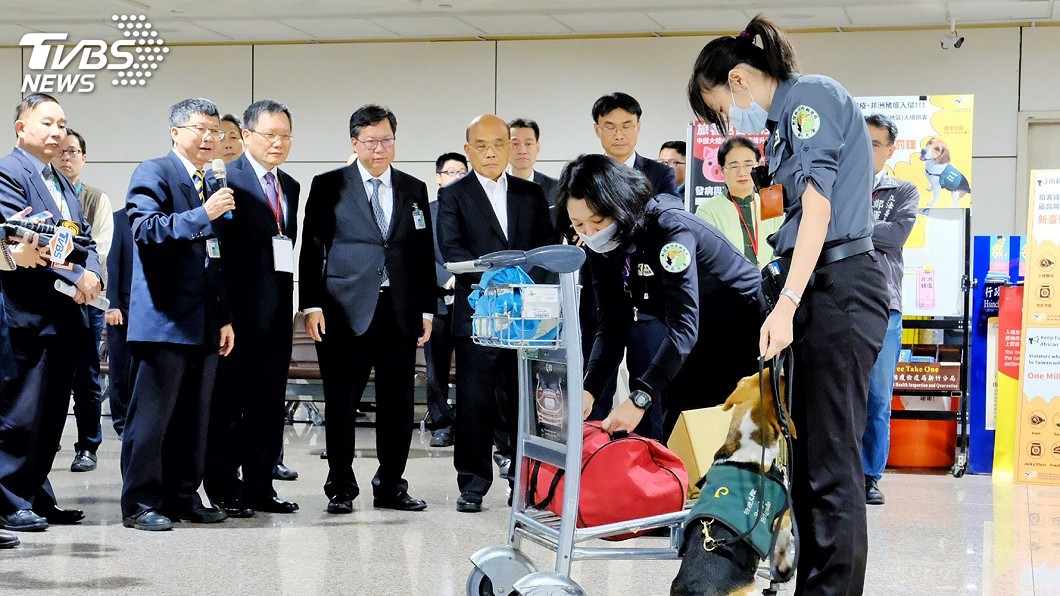 蘇揆指示非洲豬瘟檢疫到位 農委會:即起補強落實