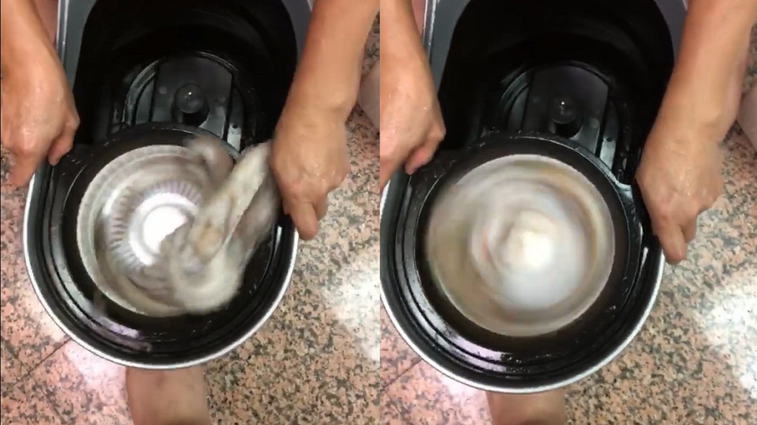 旋轉才好吃…他拿出「這台」狂踩 網驚:拖把味章魚