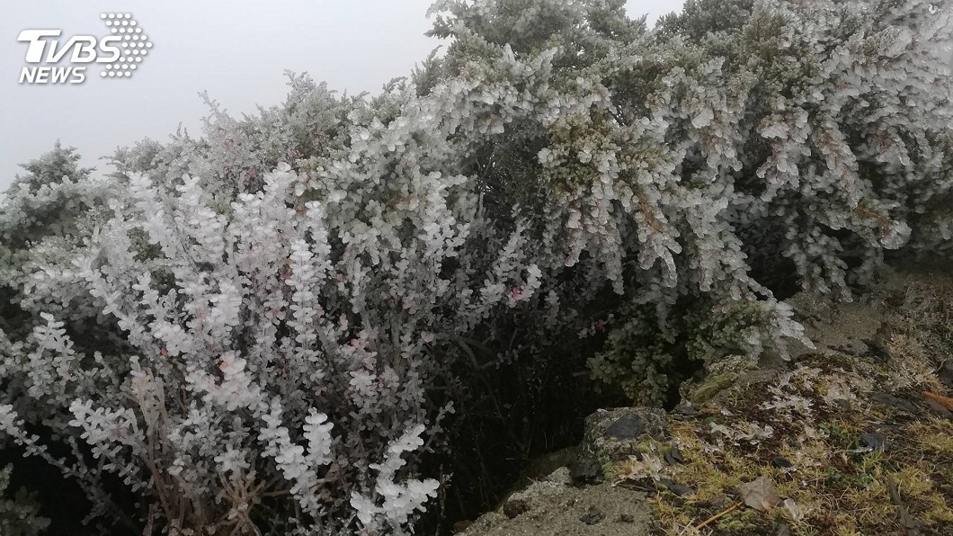 玉山初雪還未到 今年恐創觀測來最晚紀錄
