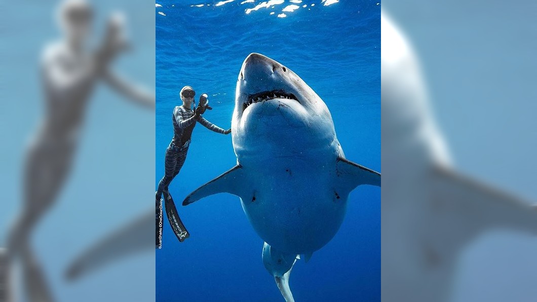 圖/翻攝自oceanramsey instagram