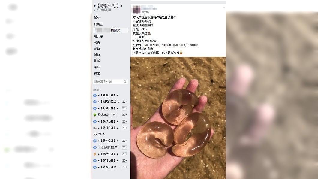 圖/翻攝爆廢公社