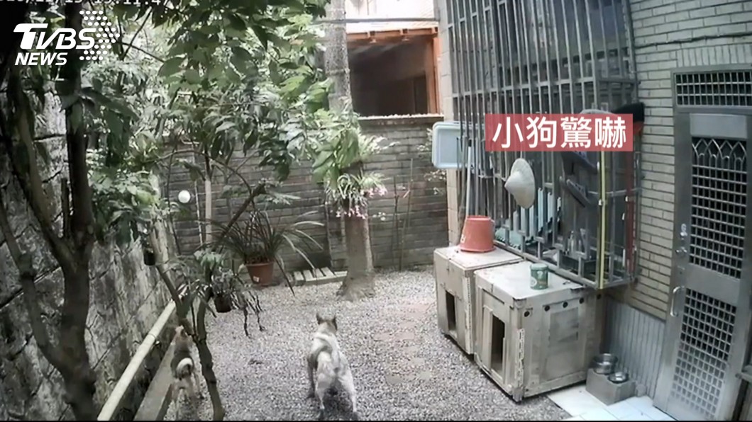 圖／TVBS