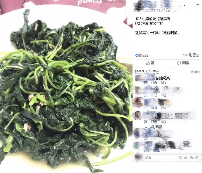 龍葵也有眾多說法，像是「黑粒啊」菜。圖／翻攝自爆廢公社