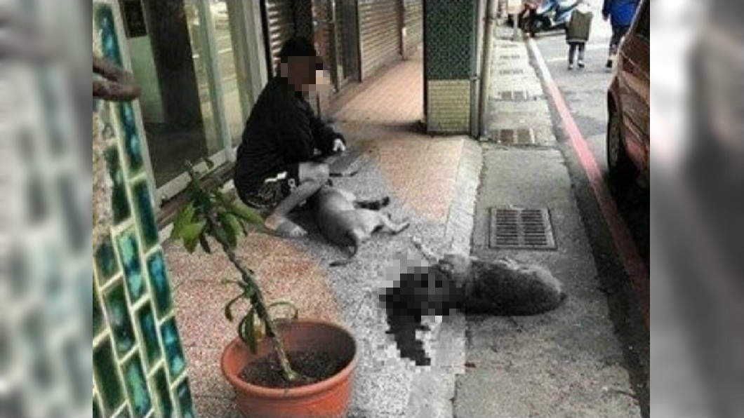 放任「比特犬咬死浪浪」 冷血飼主2度虐狗面露微笑