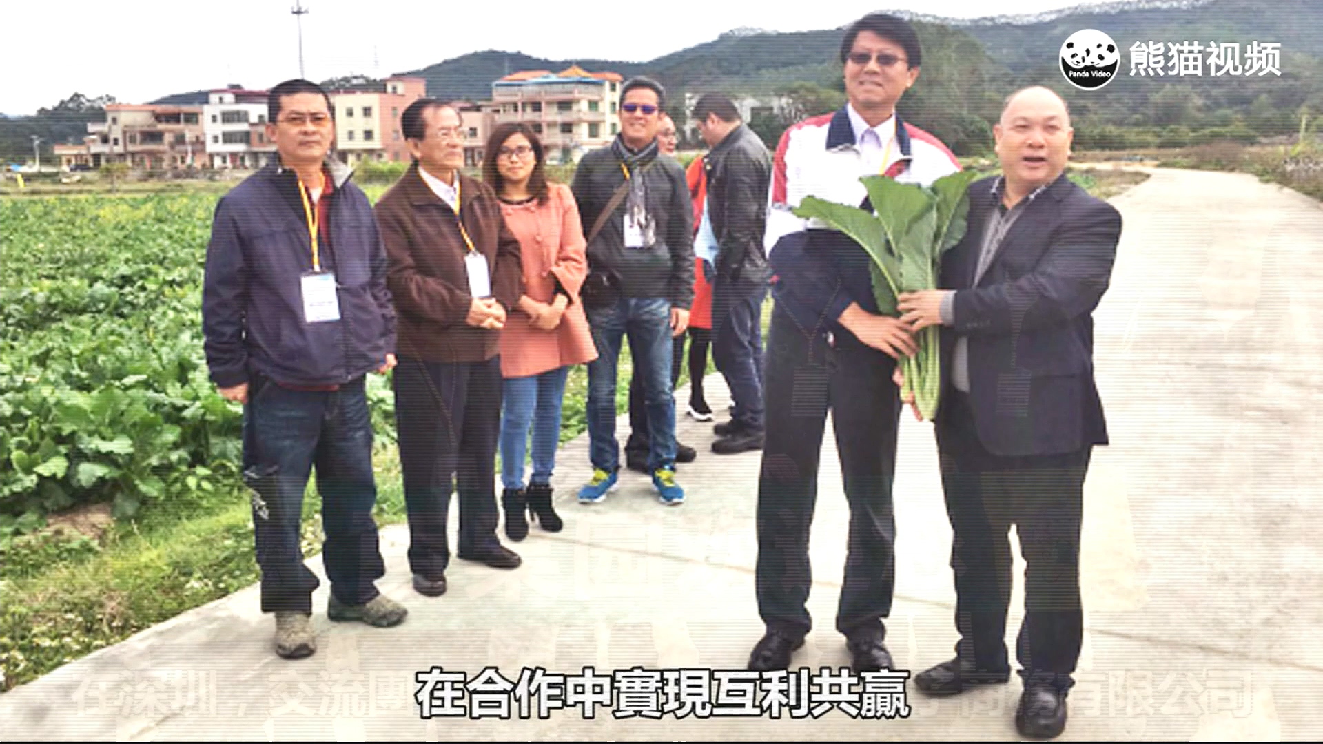 圖/翻攝自熊貓視頻