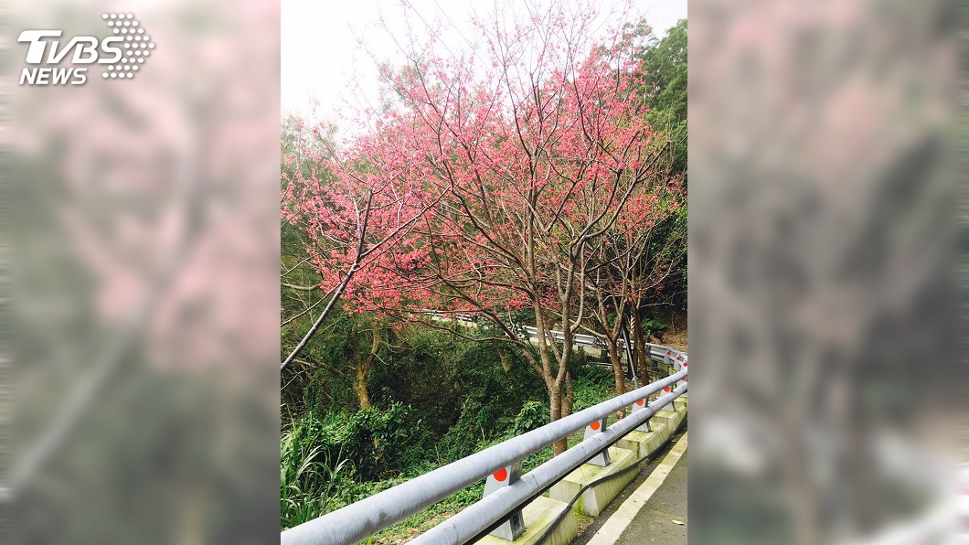 圖／中央社