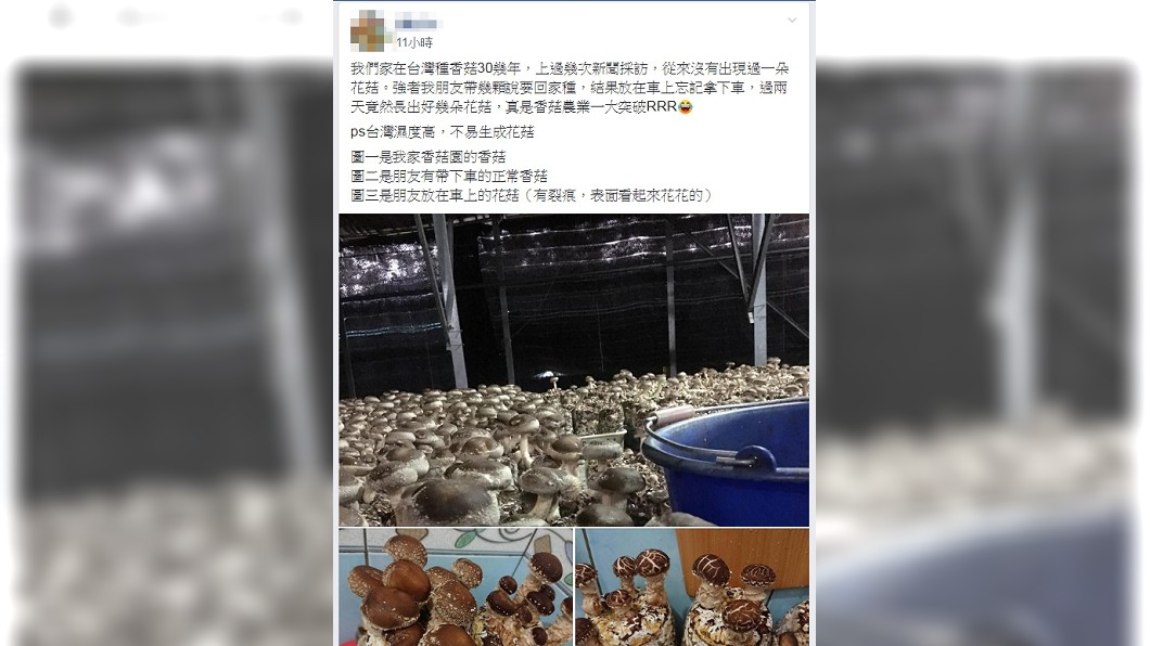 圖/翻攝爆廢公社
