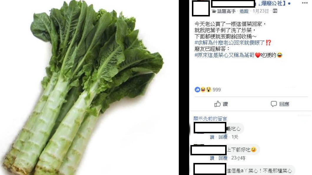 翻攝/爆廢公社