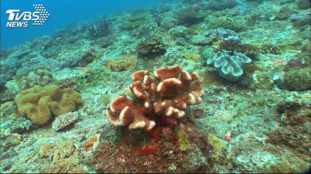 東沙島延後開放觀光　徐國勇：先補強生態